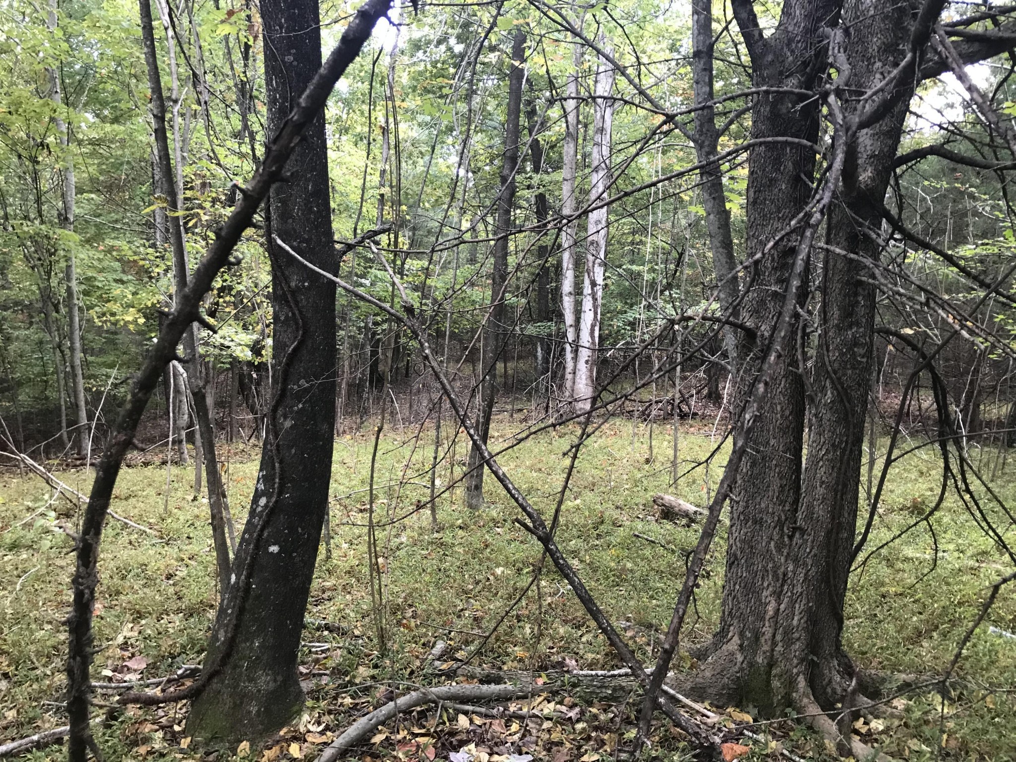 57 Deer Point Drive Property Photo 12