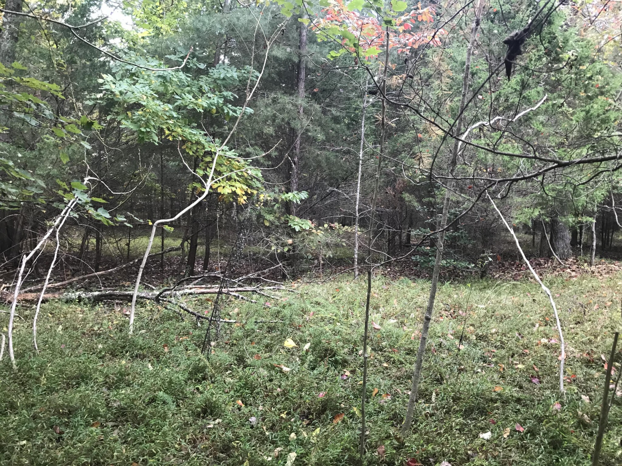 57 Deer Point Drive Property Photo 14