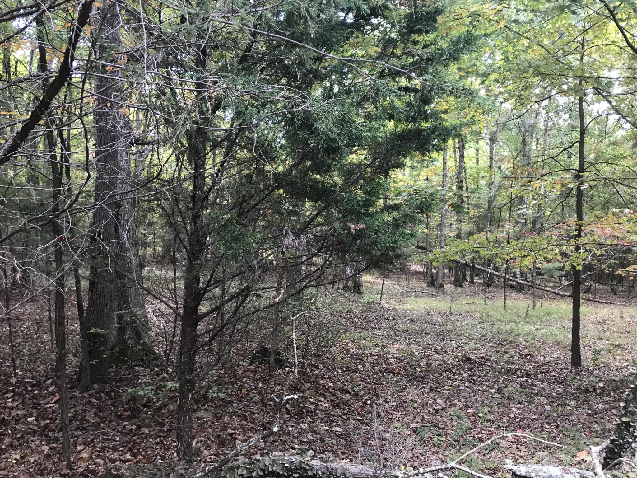 57 Deer Point Drive Property Photo 15