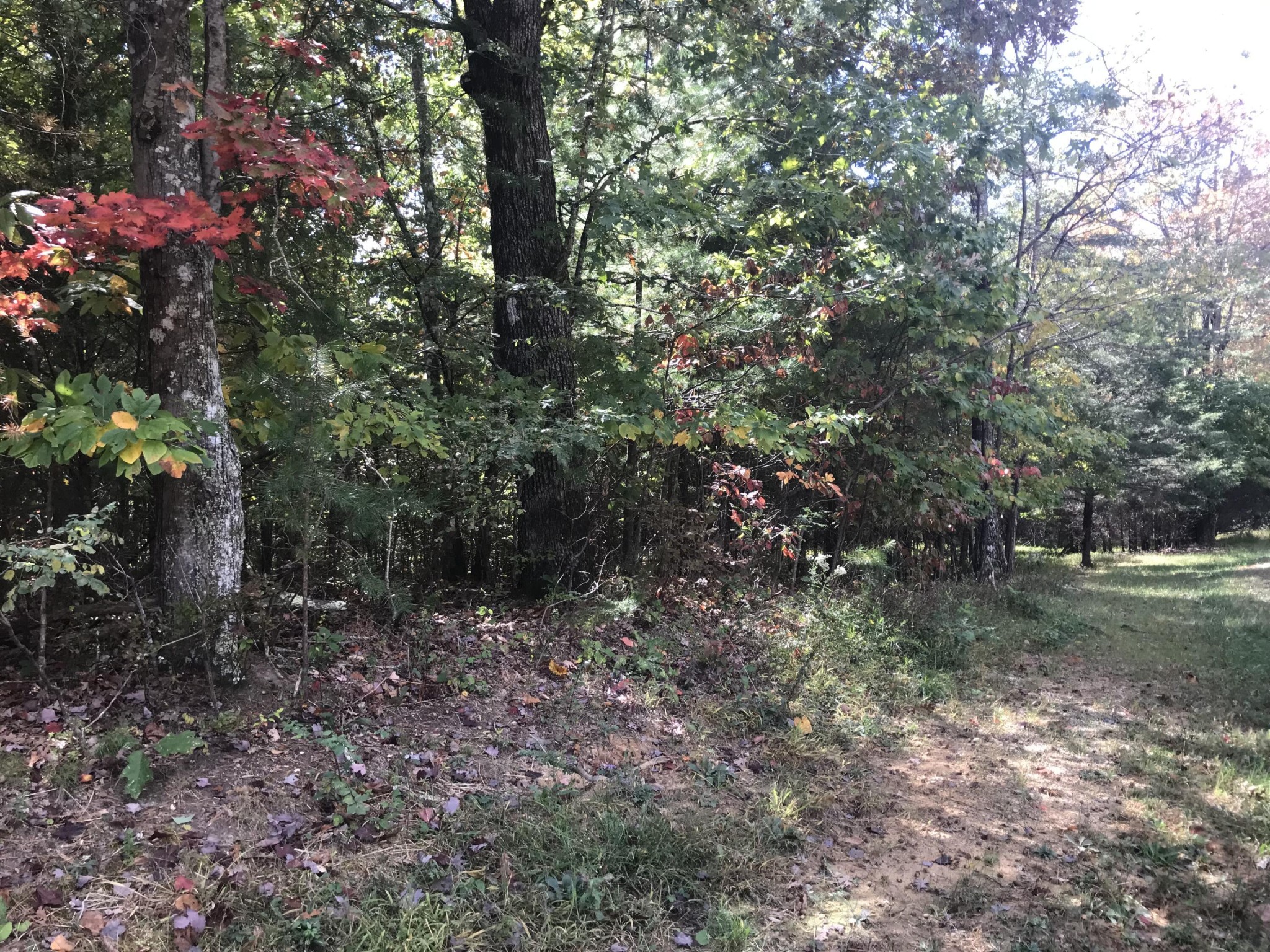 57 Deer Point Drive Property Photo 18