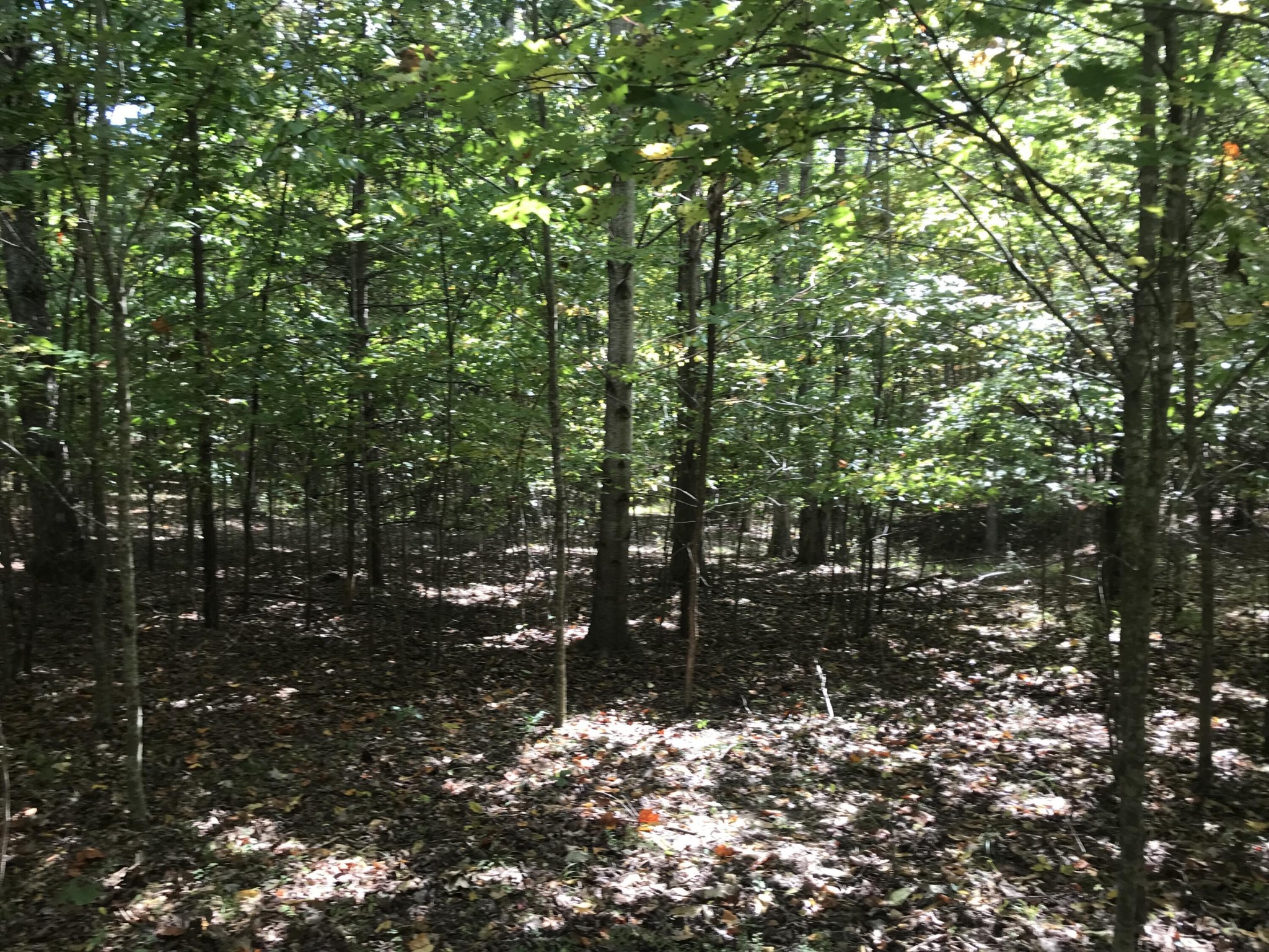 57 Deer Point Drive Property Photo 20