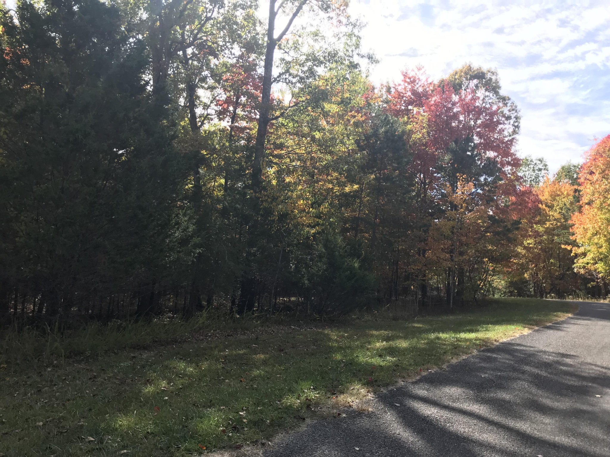 57 Deer Point Drive Property Photo 25