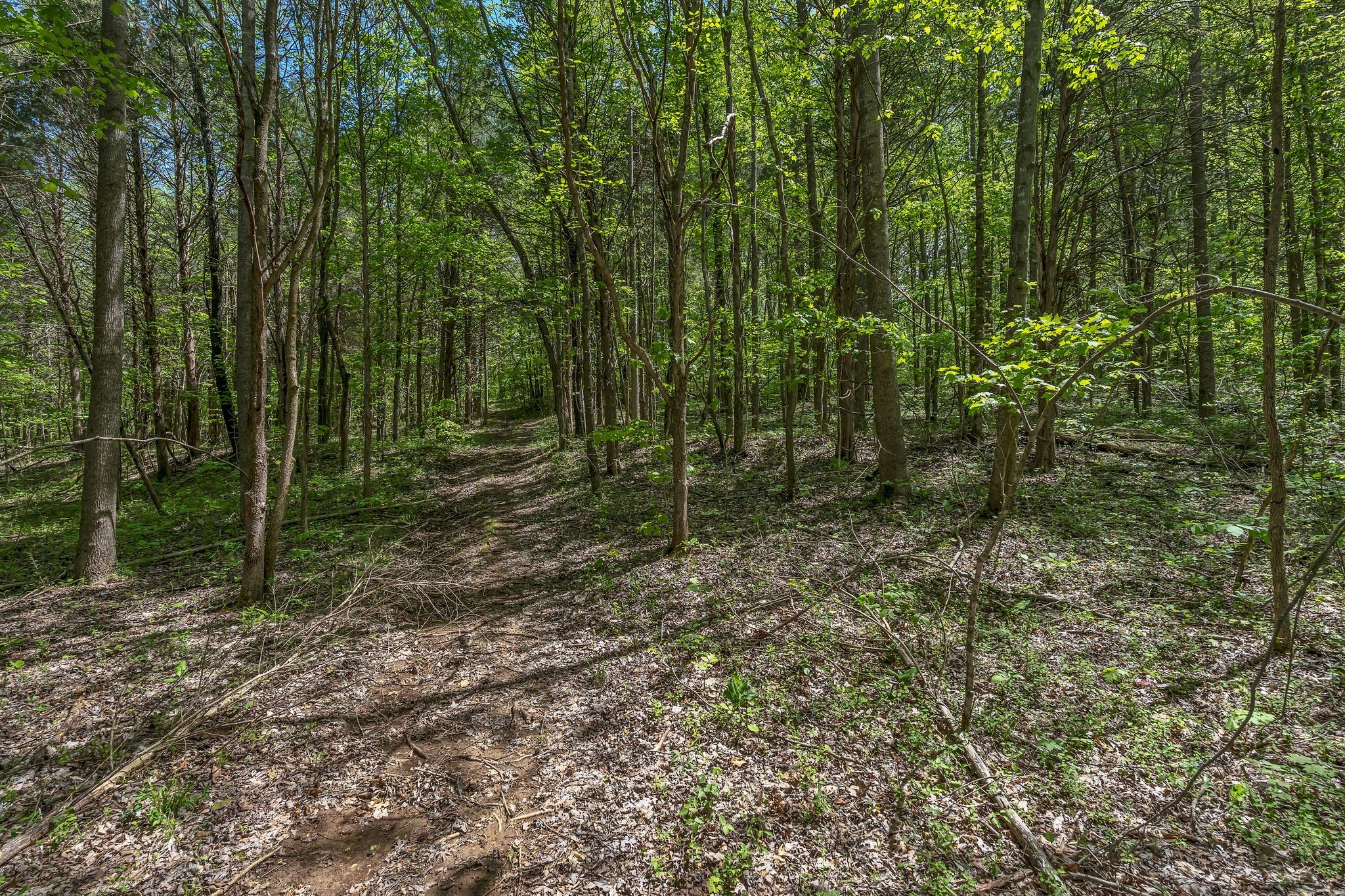 2600 Little Bartons Creek Rd Property Photo 43