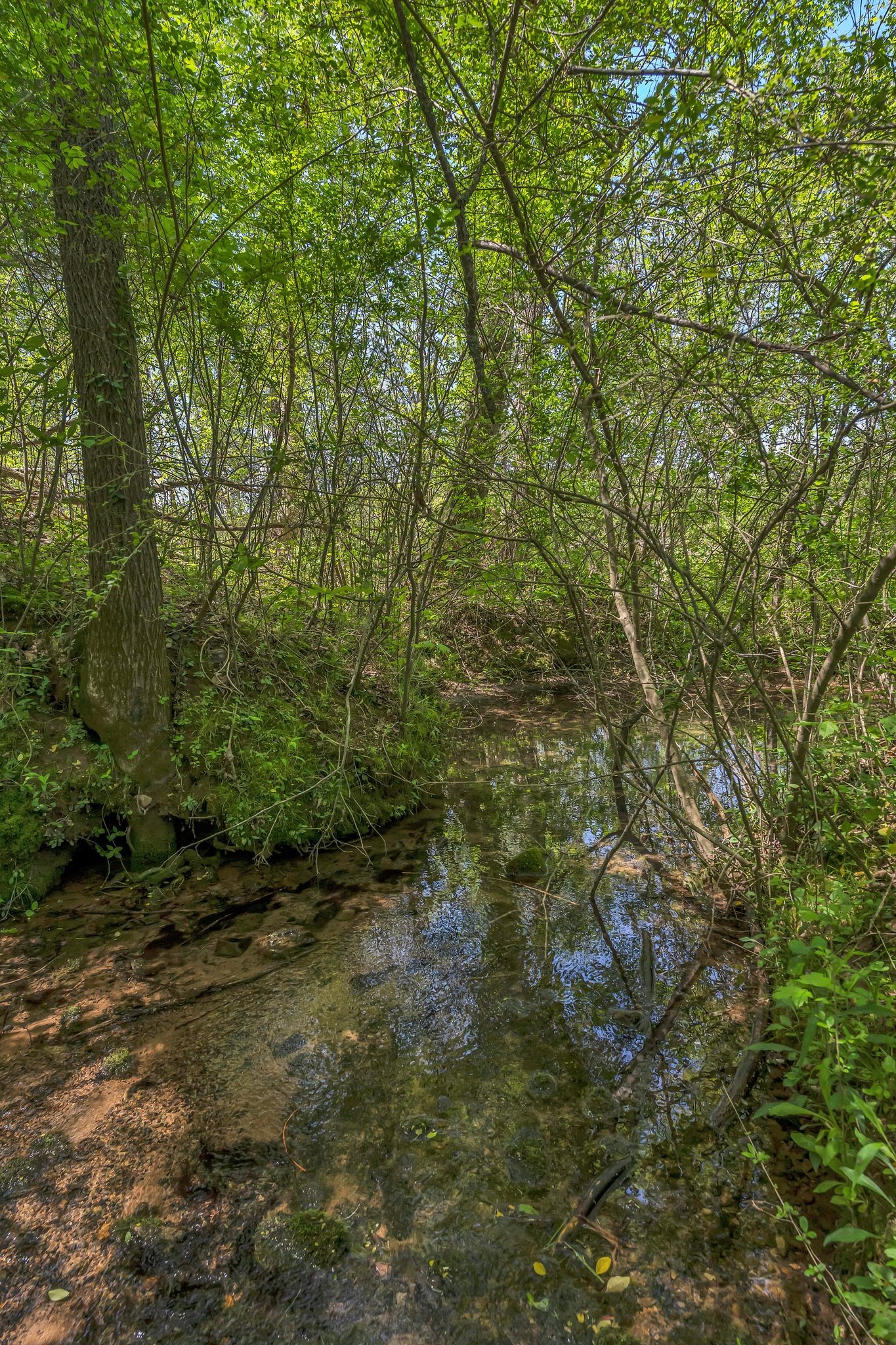 2600 Little Bartons Creek Rd Property Photo 46