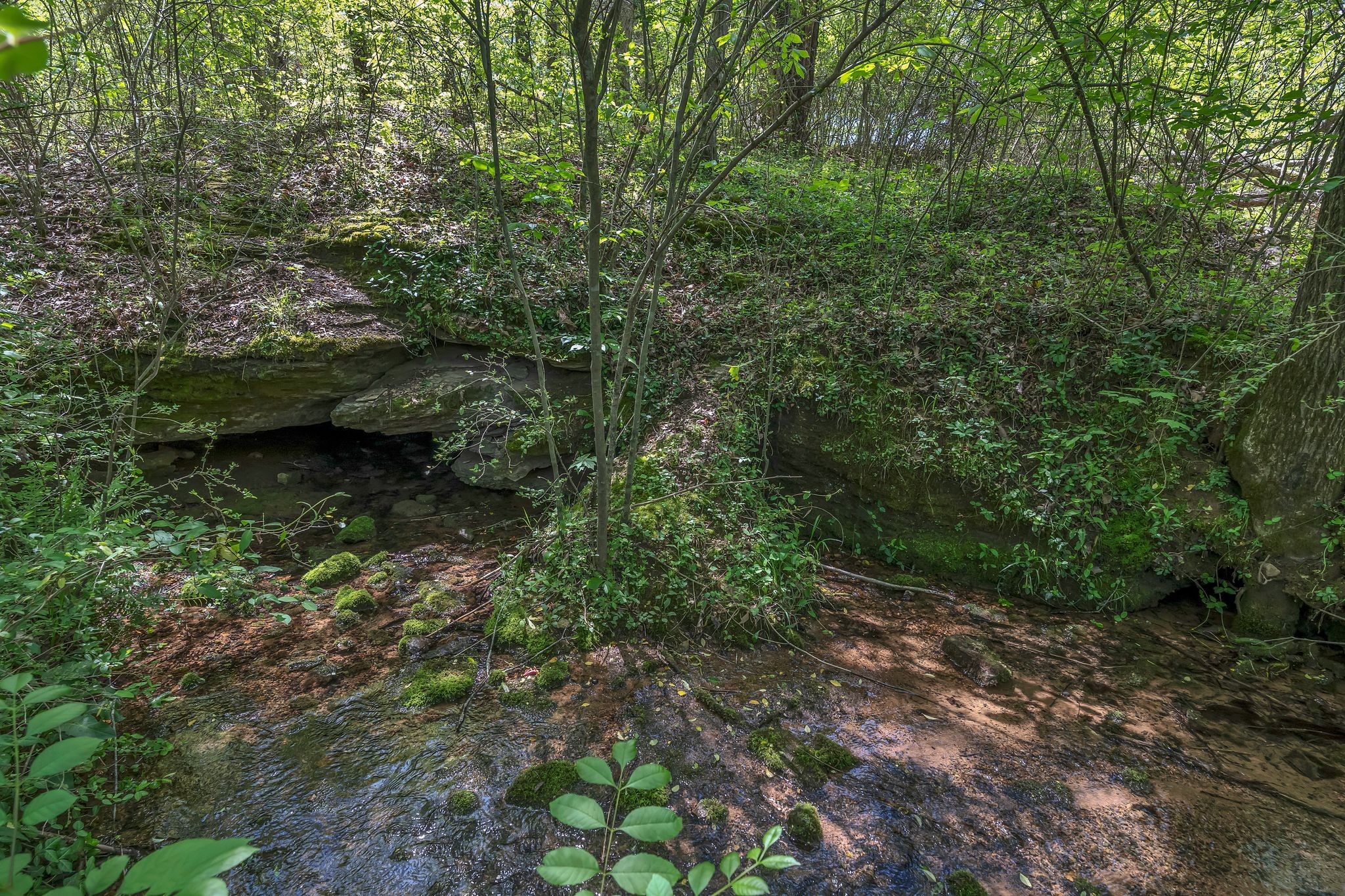 2600 Little Bartons Creek Rd Property Photo 47