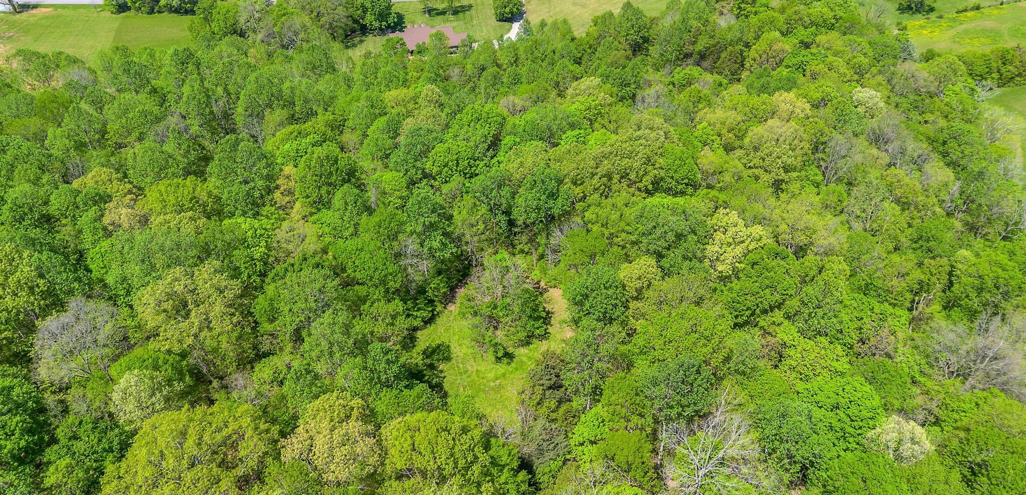 2600 Little Bartons Creek Rd Property Photo 53