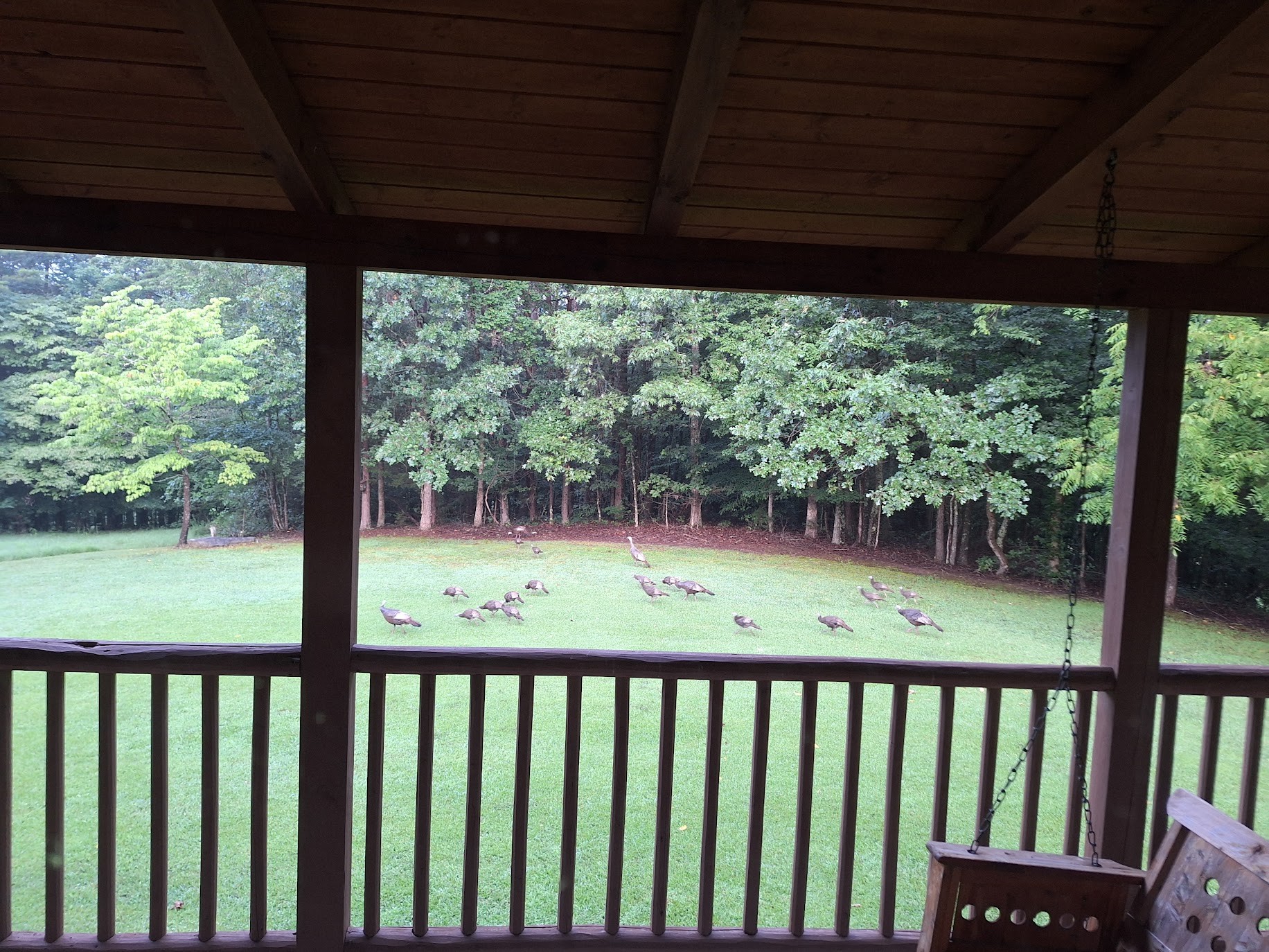146 Sparkmantown Rd Property Photo 29