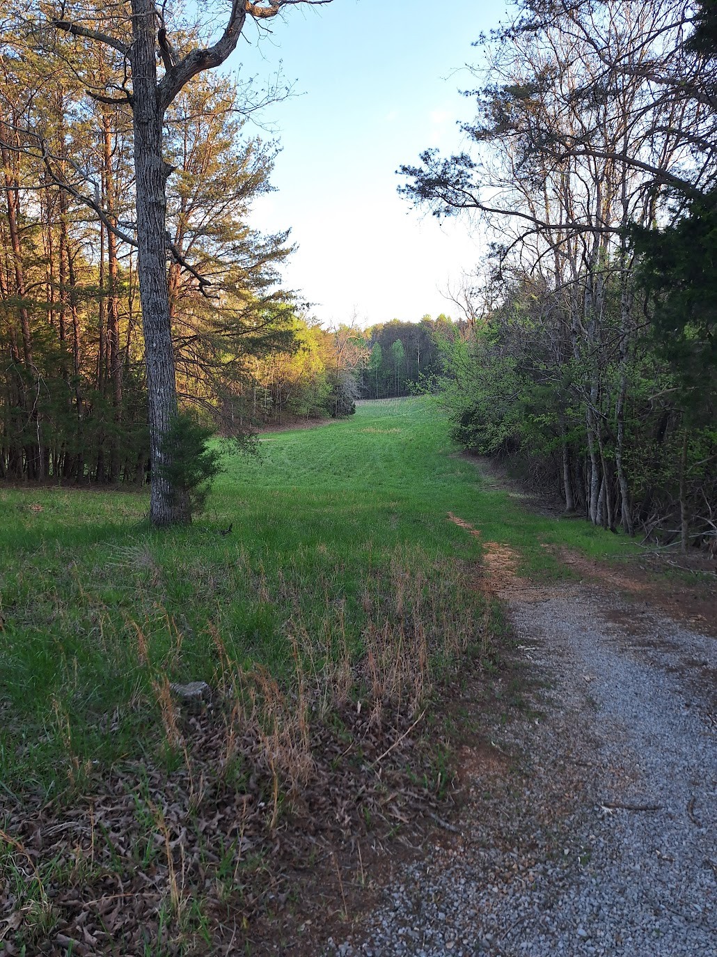 146 Sparkmantown Rd Property Photo 49