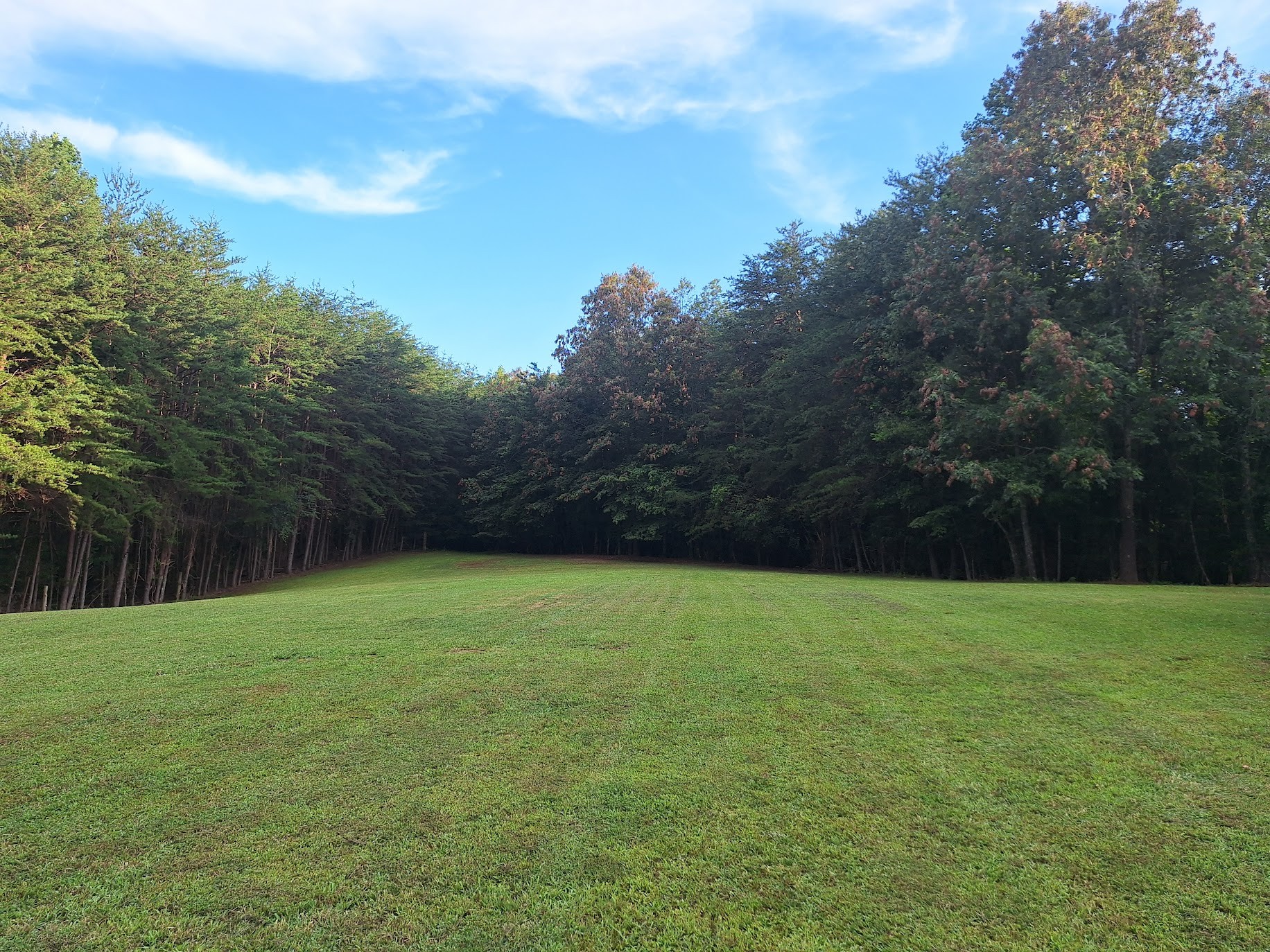 146 Sparkmantown Rd Property Photo 53