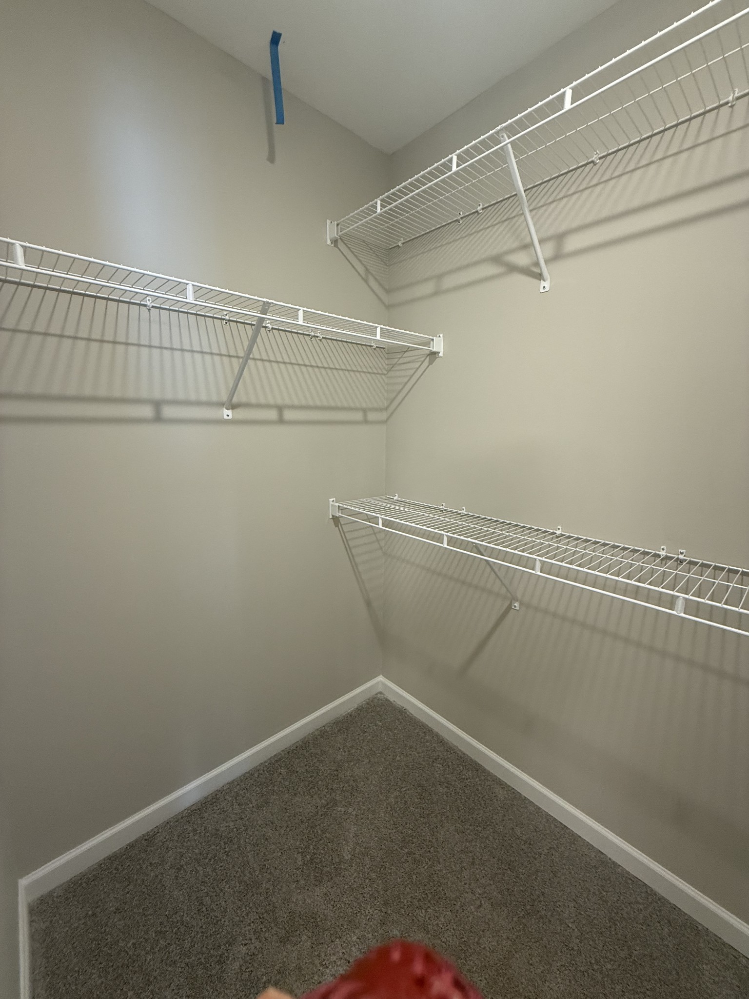 167 Coleson Lane Property Photo 10