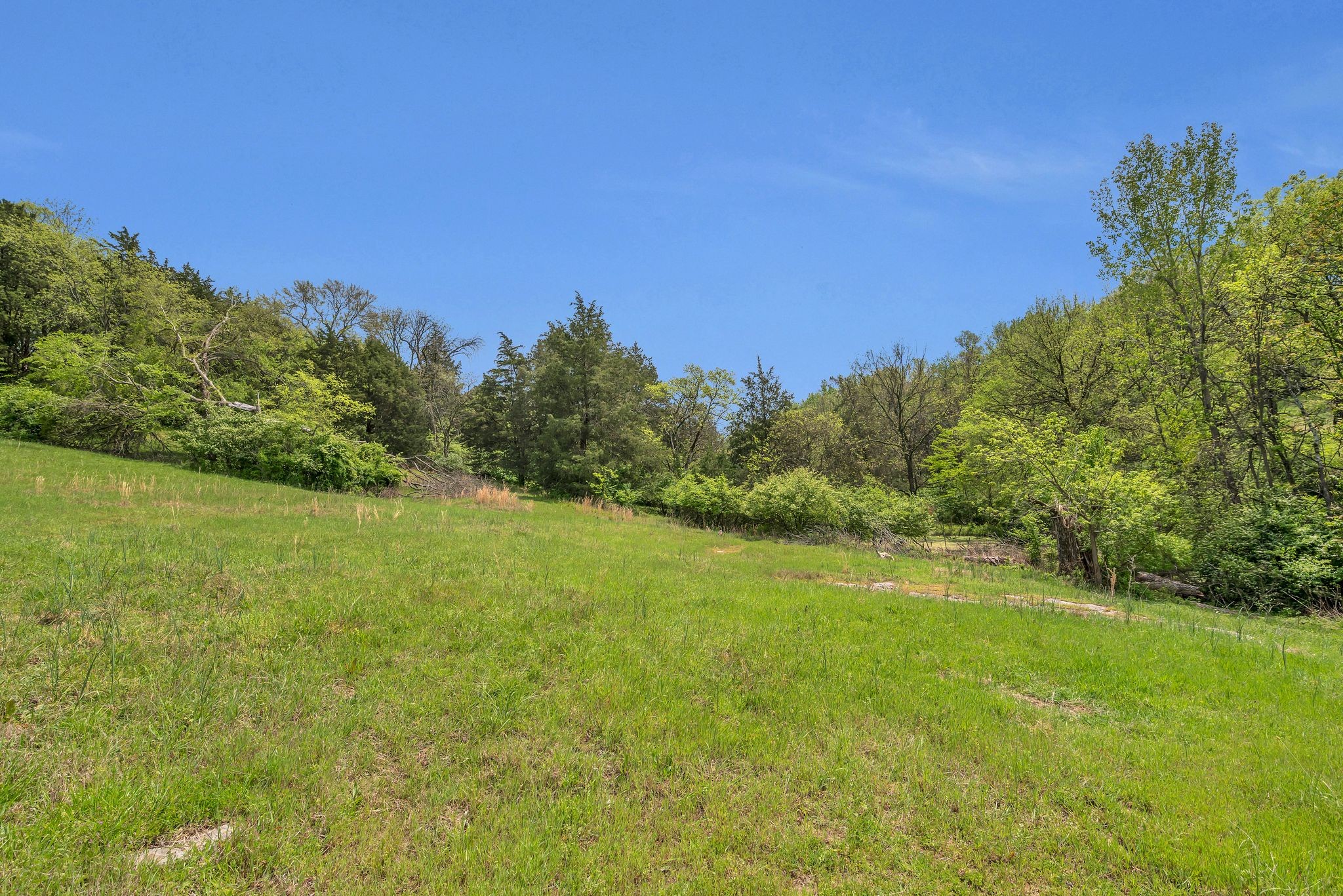 3163 Brandau Rd Property Photo 10