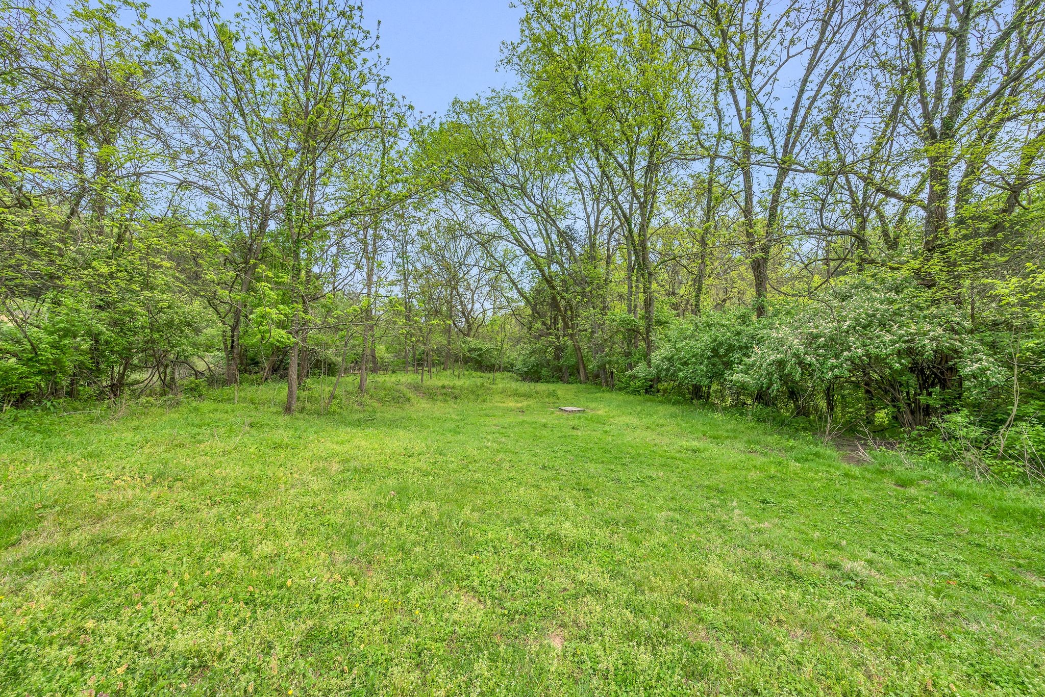 3163 Brandau Rd Property Photo 13