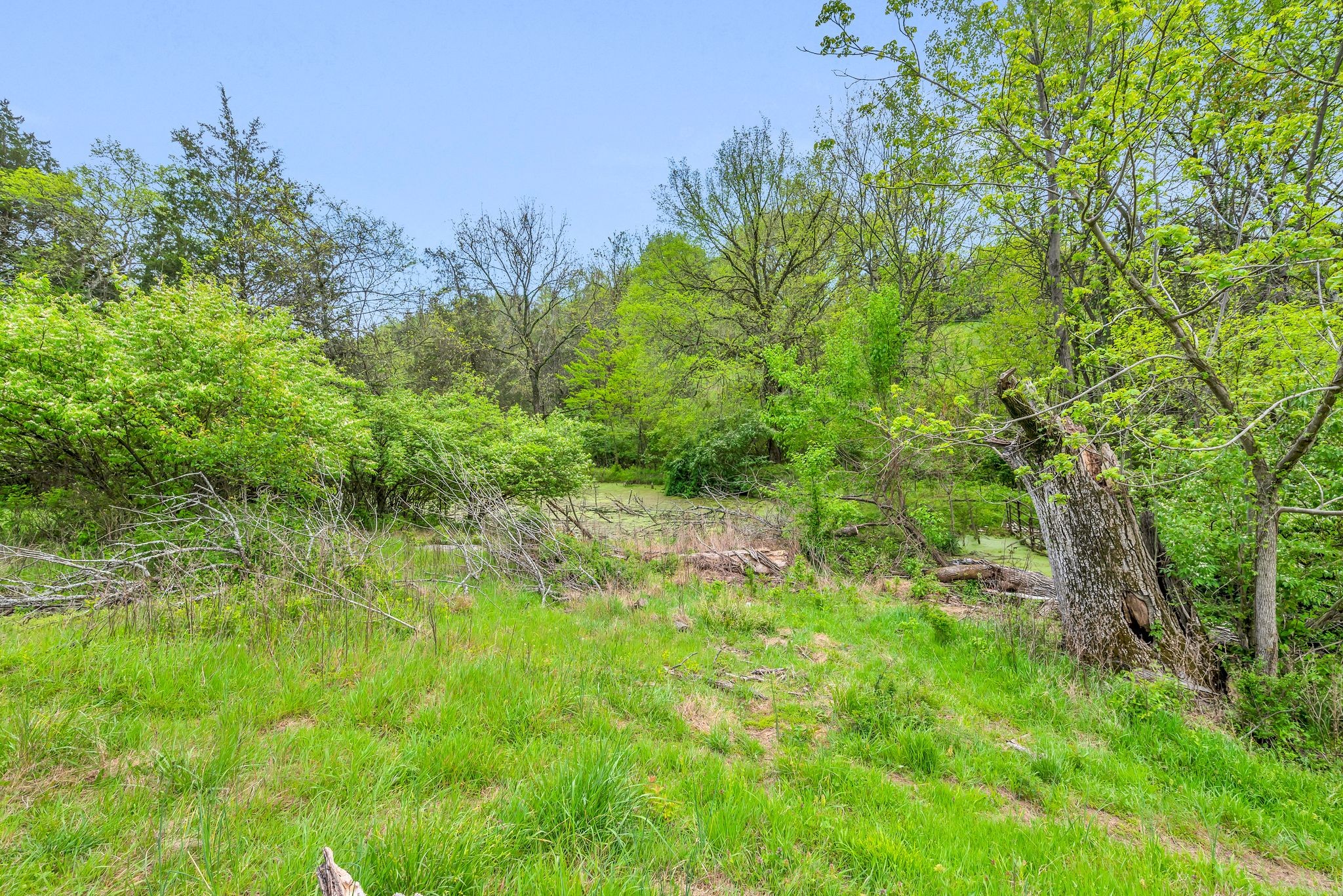 3163 Brandau Rd Property Photo 15