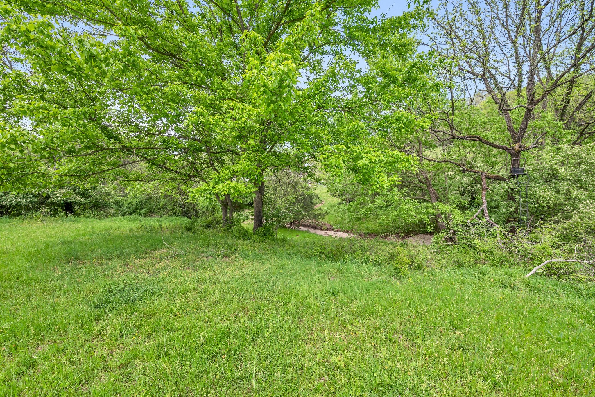3163 Brandau Rd Property Photo 17