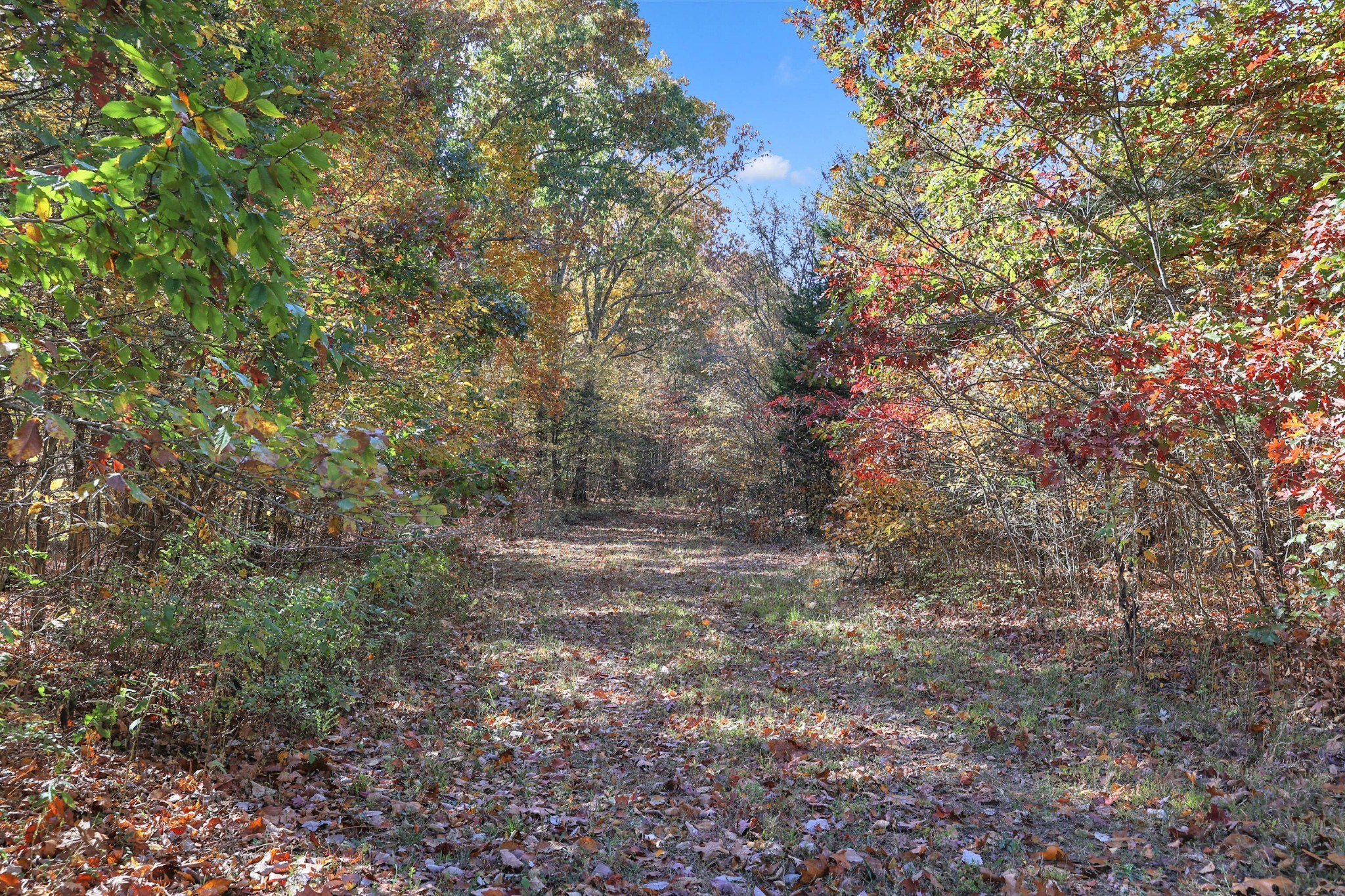 1 Batson Mill Rd Property Photo 26