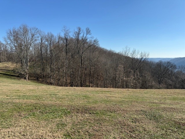 0 Smithville Hwy Property Photo 1