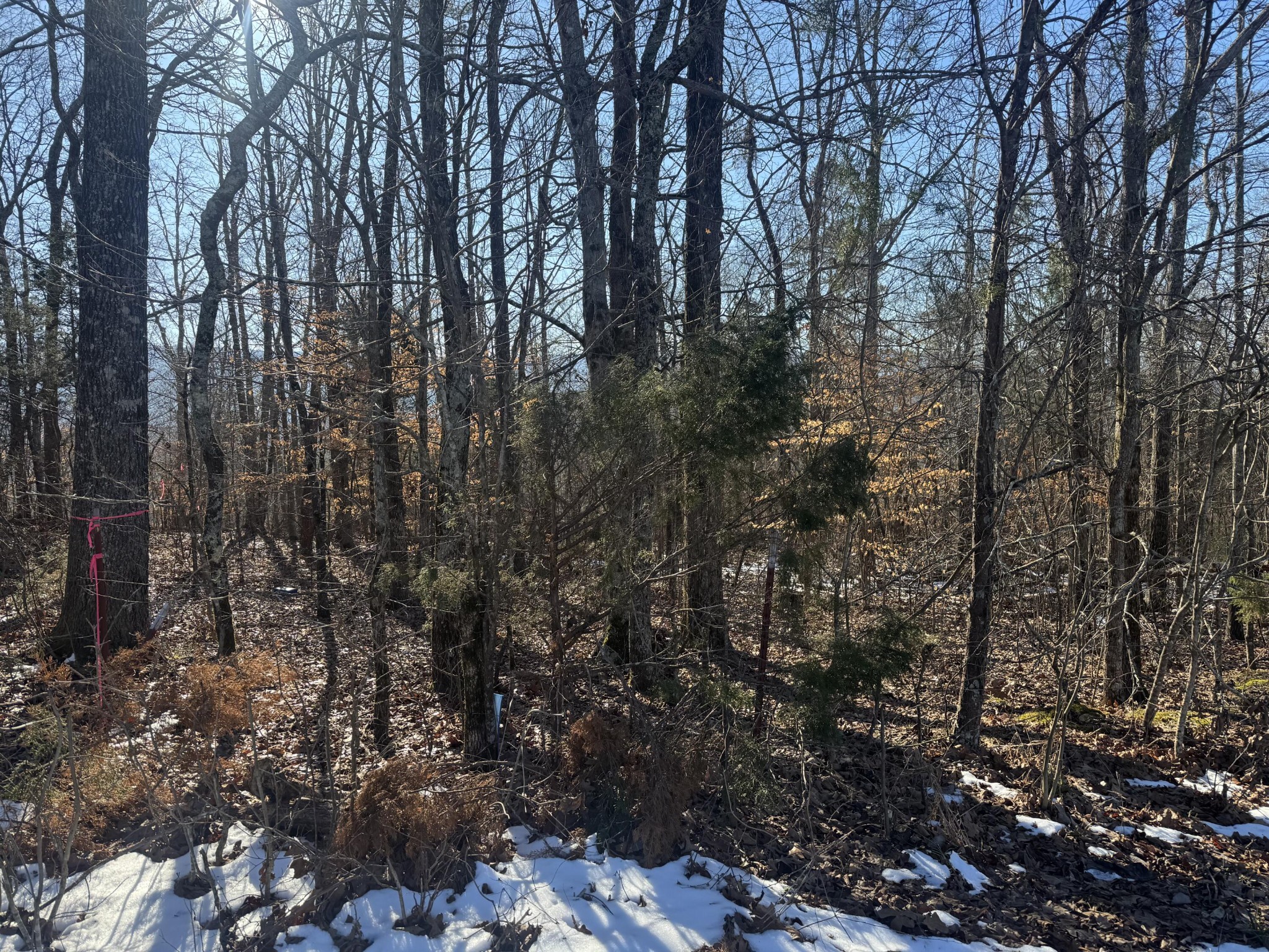 280 Chapman Road Property Photo 3