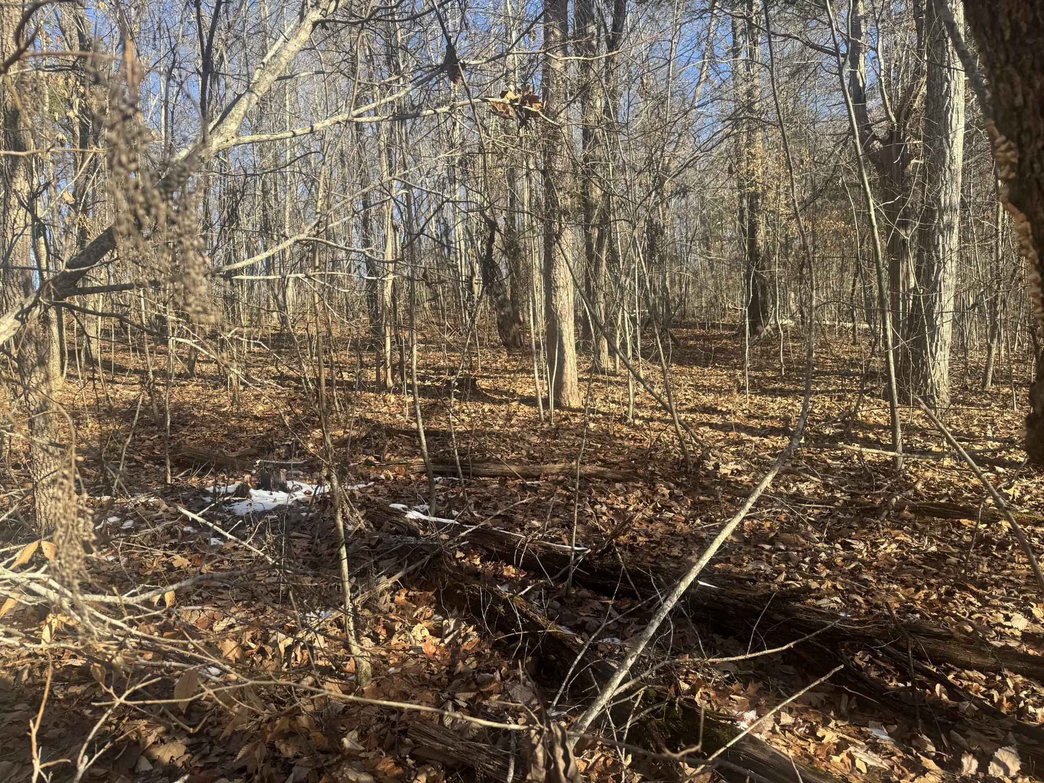 280 Chapman Road Property Photo 4