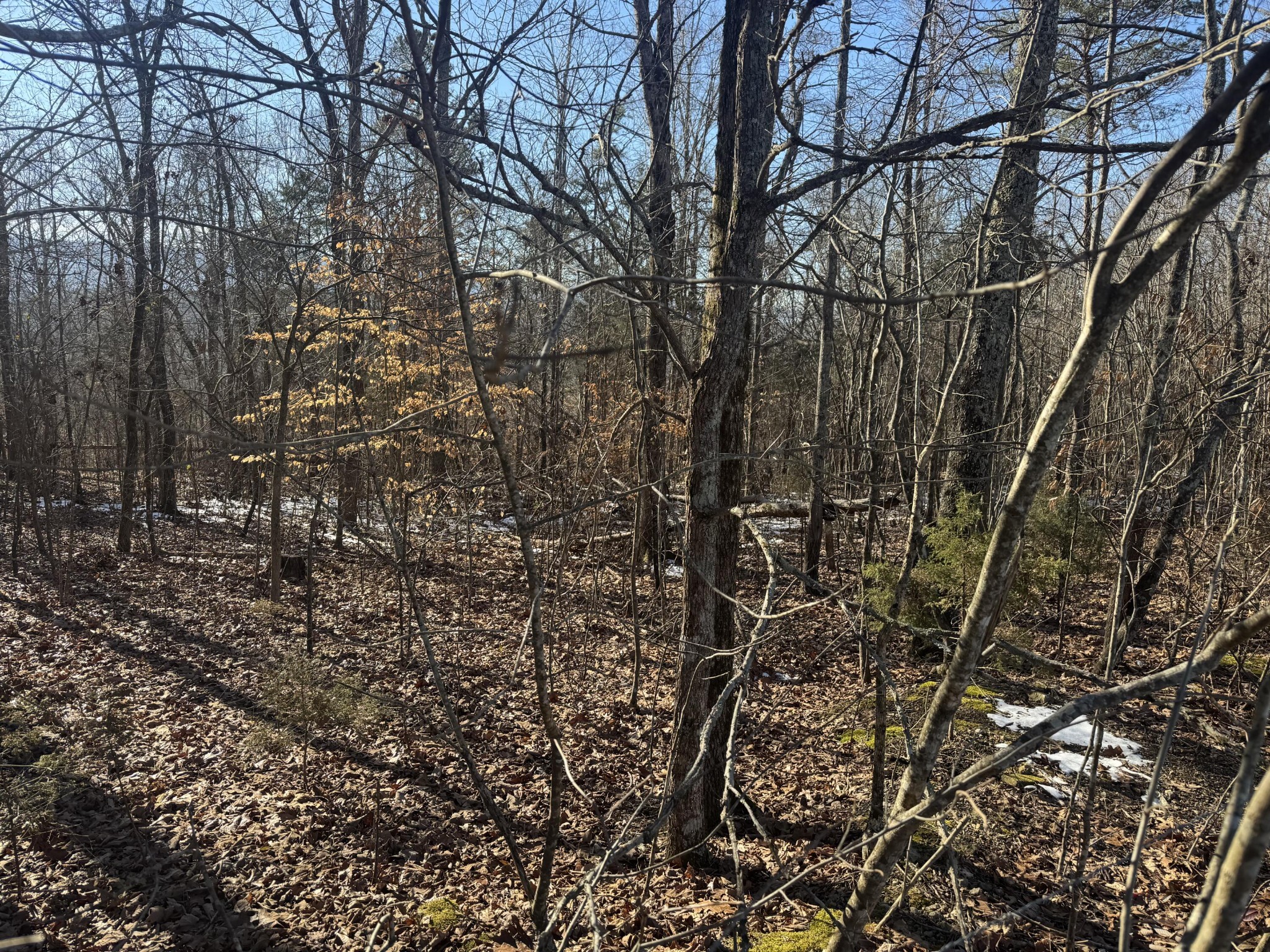 280 Chapman Road Property Photo 5