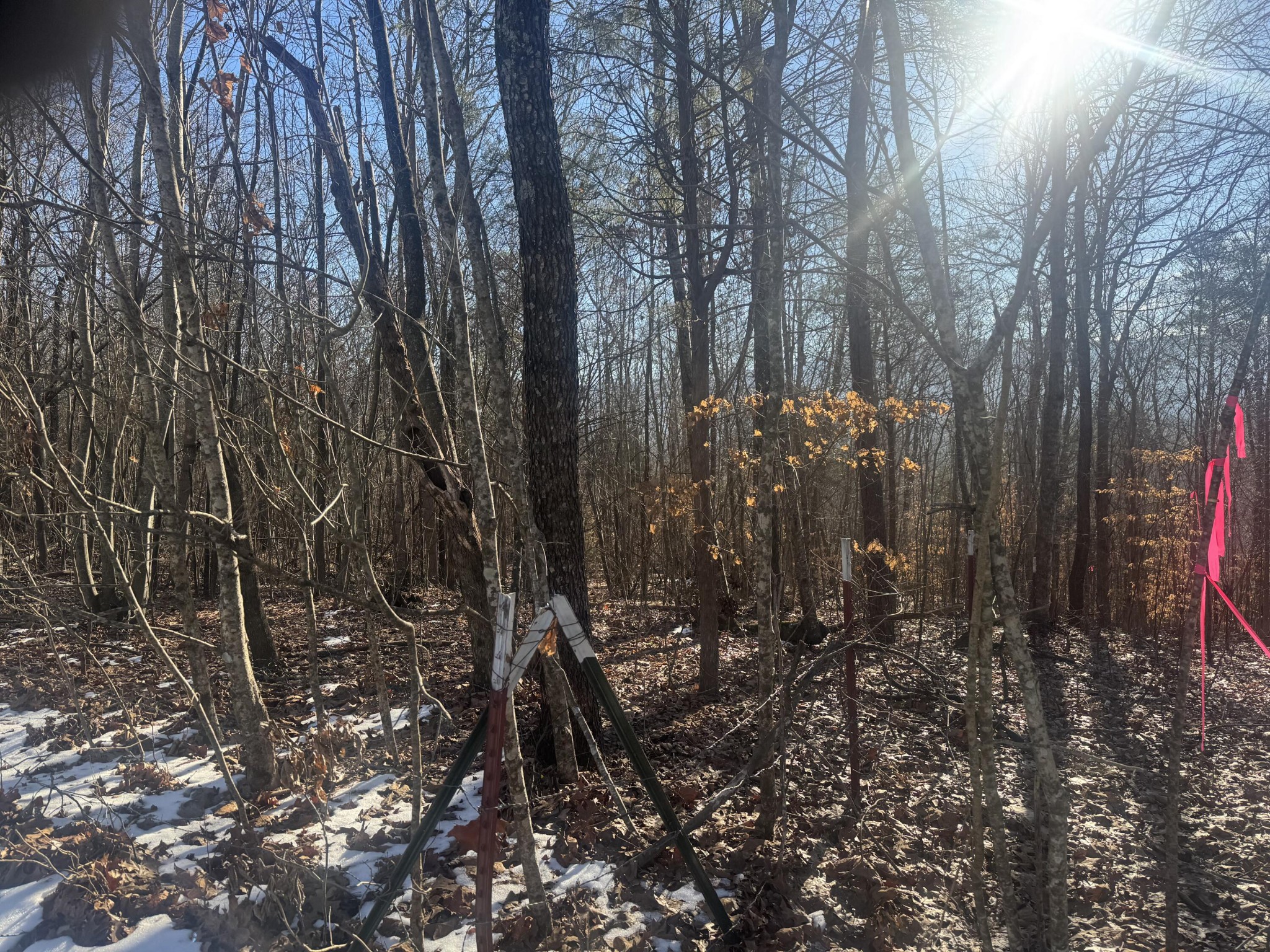 280 Chapman Road Property Photo 6