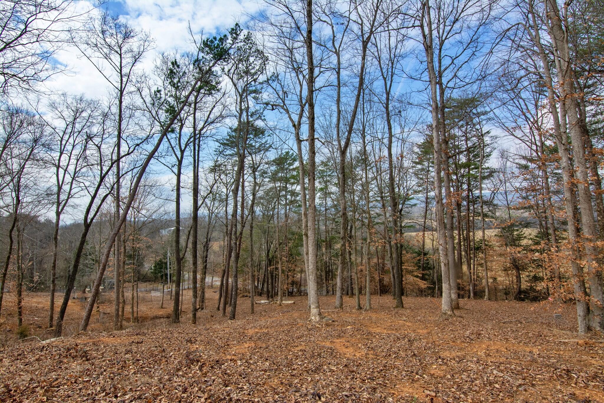 2604 Lower East Valley Road Property Photo 42