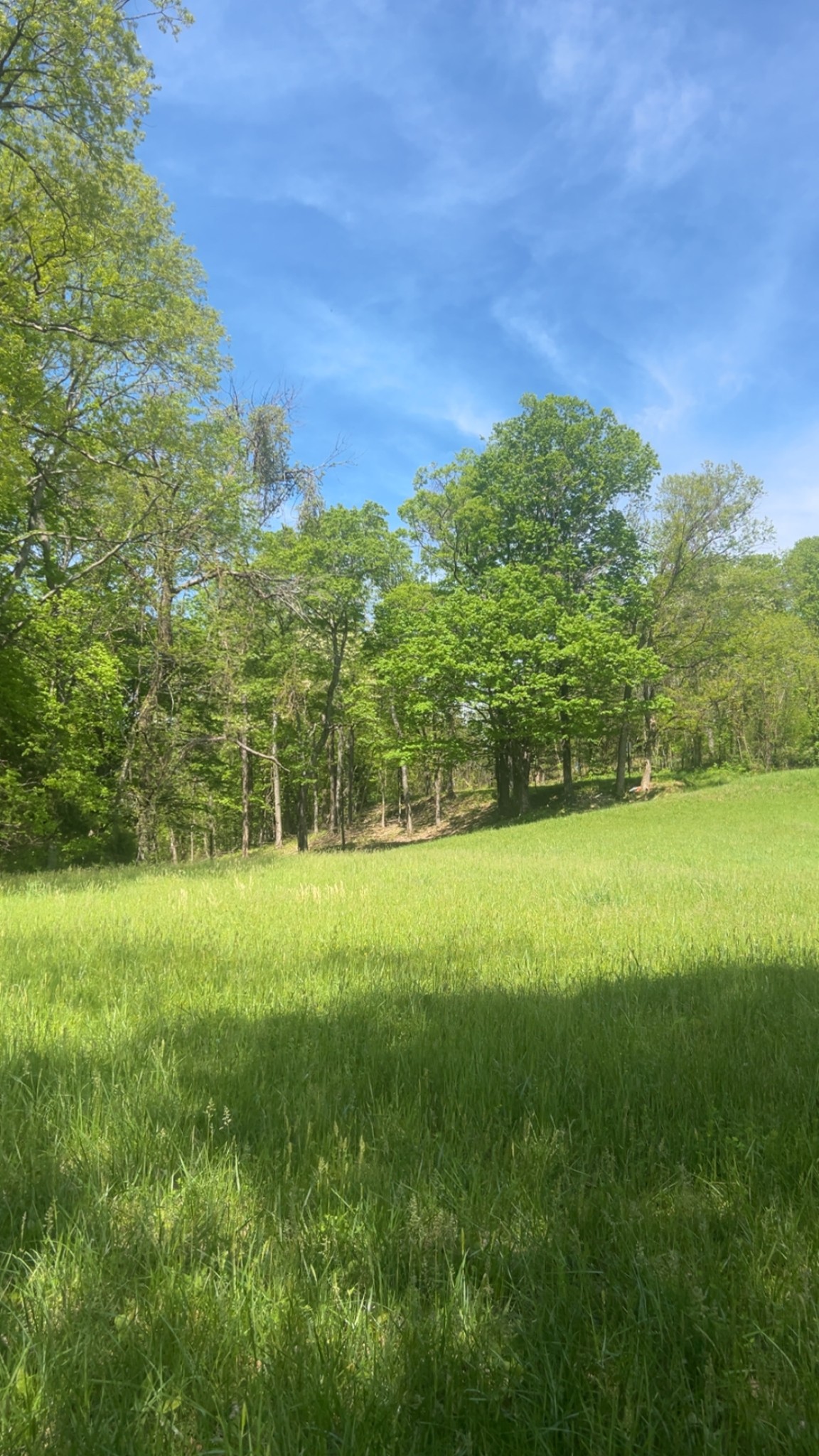 0 Wolf Hill Rd Property Photo