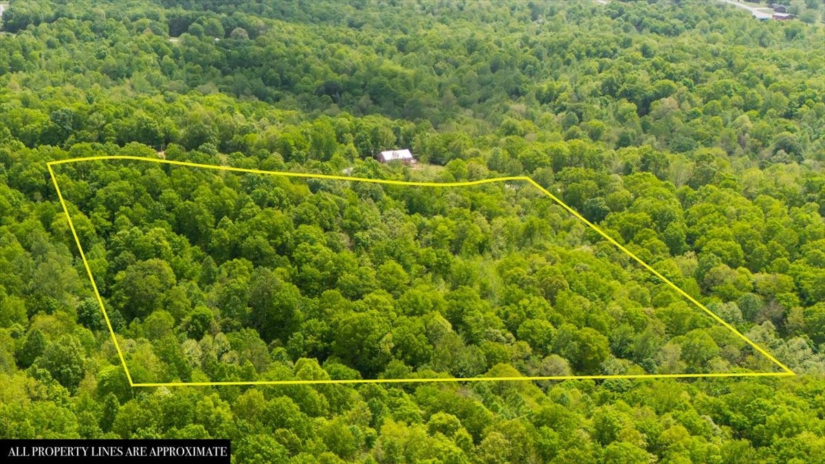 3200 Jack Saunders Road Property Photo 21