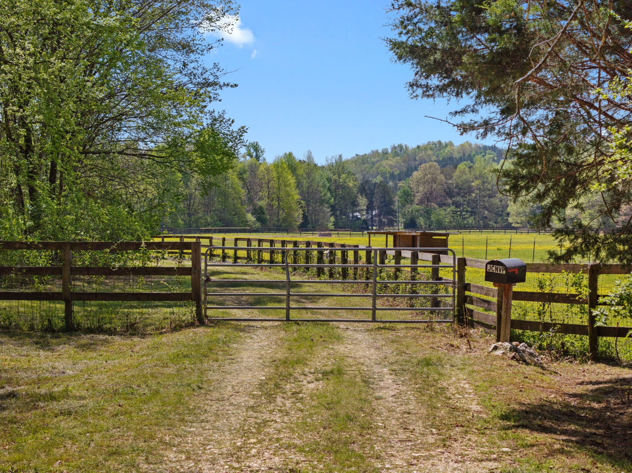 Lutts Real Estate Listings Main Image