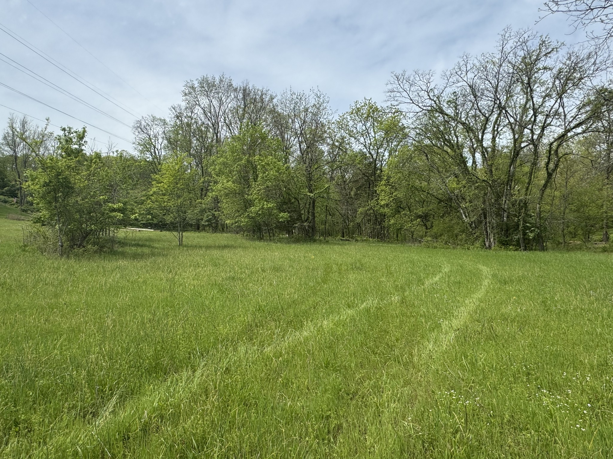1613 Saundersville Rd Property Photo