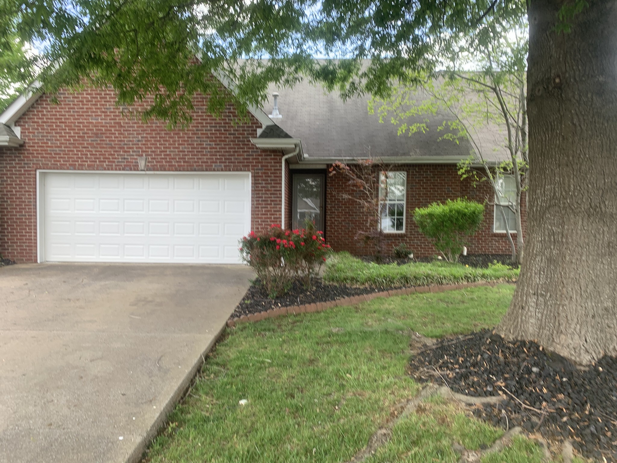 401 Ravencliff Ct Property Photo 1