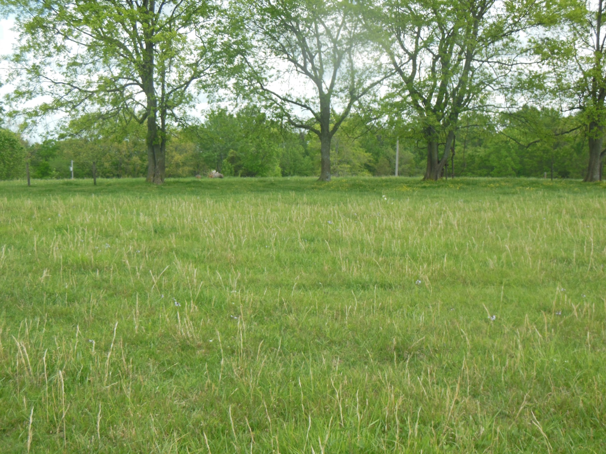 7363 New Chapel Rd Property Photo
