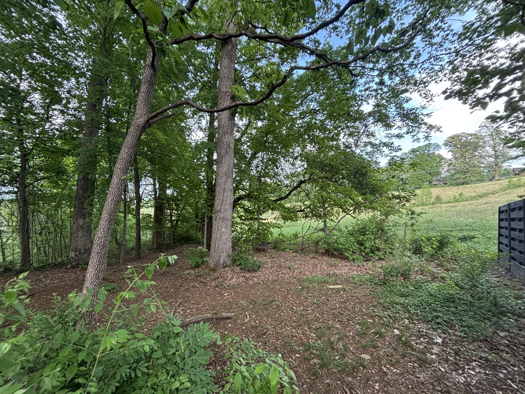 Maryville Real Estate Listings Main Image