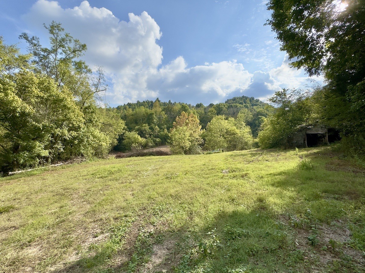 1634 Gilley Hill Rd Property Photo 8