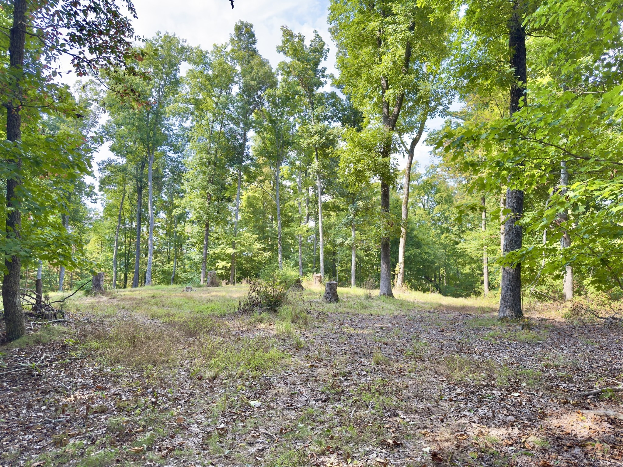 1634 Gilley Hill Rd Property Photo 14