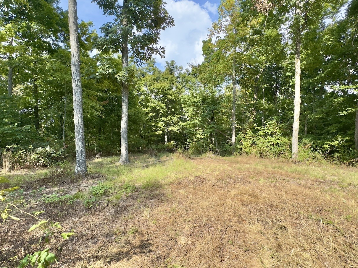 1634 Gilley Hill Rd Property Photo 15