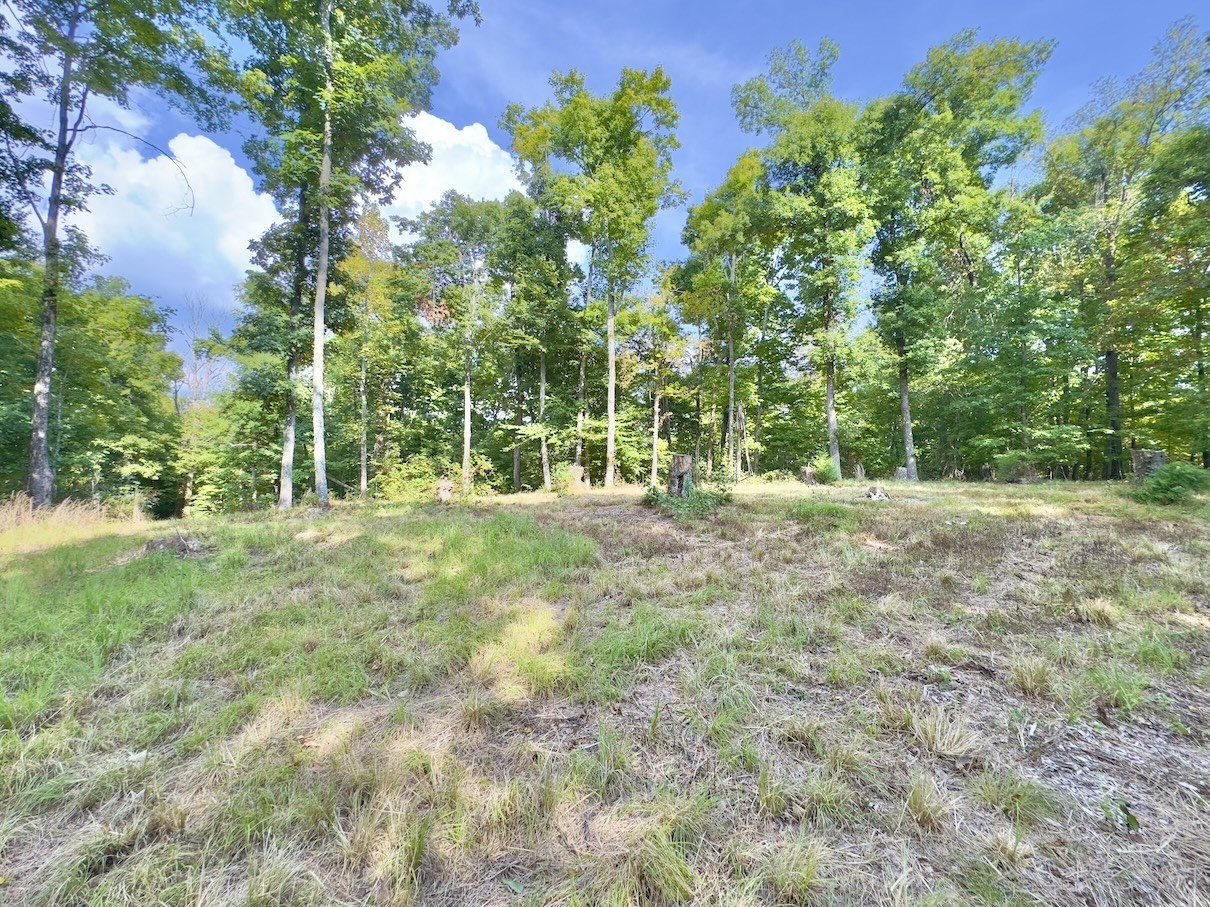 1634 Gilley Hill Rd Property Photo 16