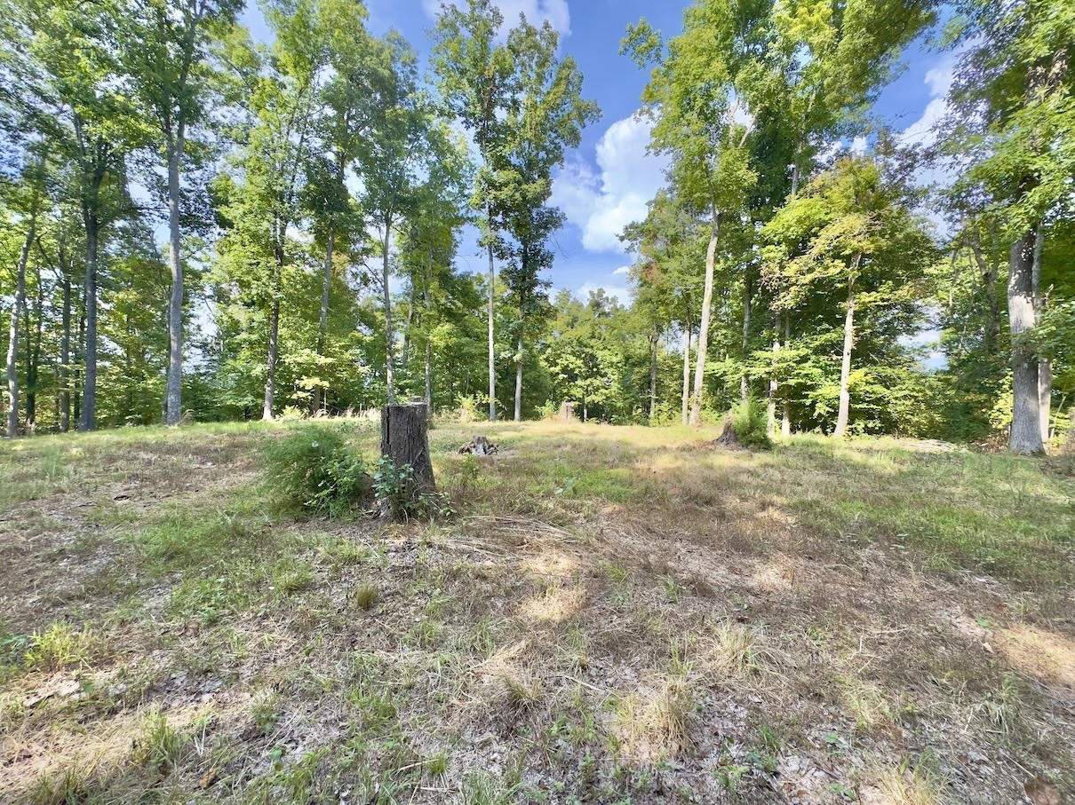 1634 Gilley Hill Rd Property Photo 17