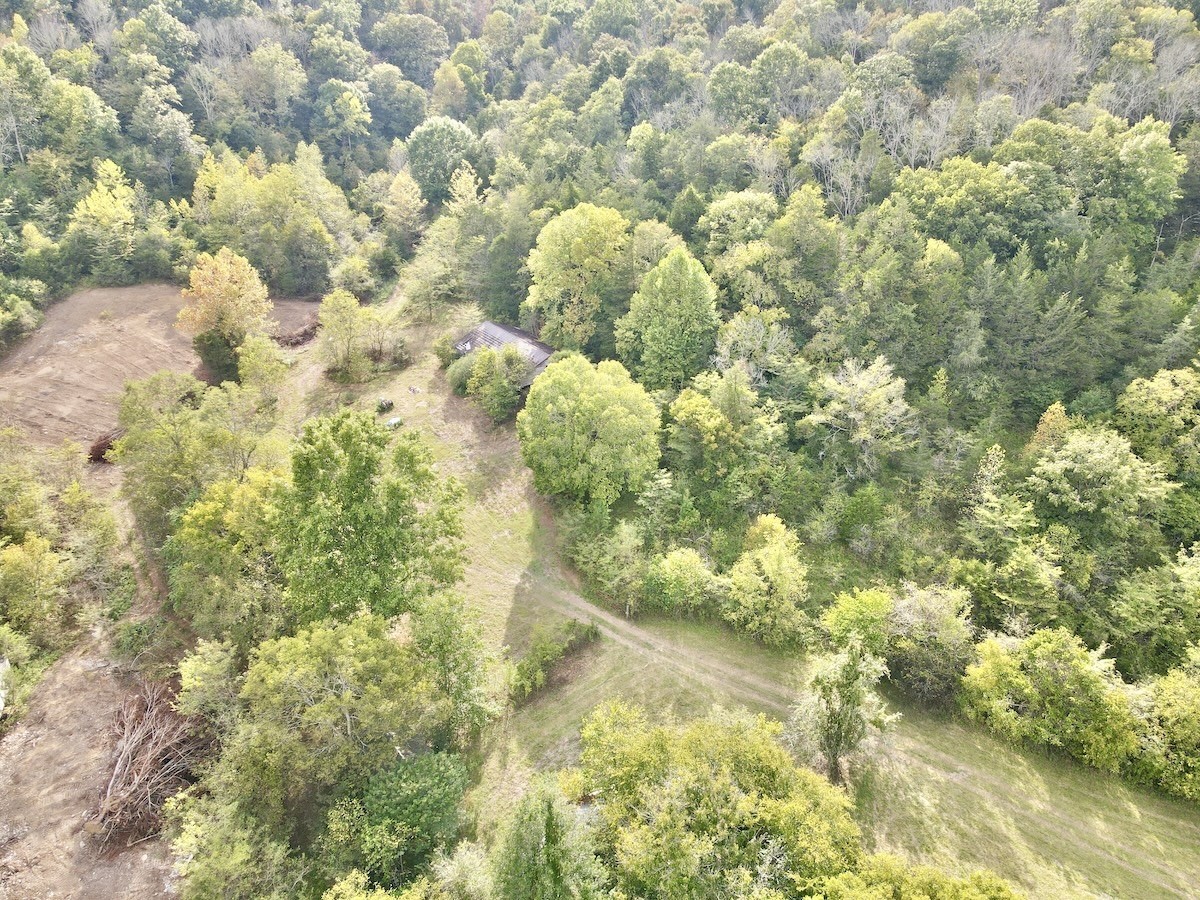 1634 Gilley Hill Rd Property Photo 18