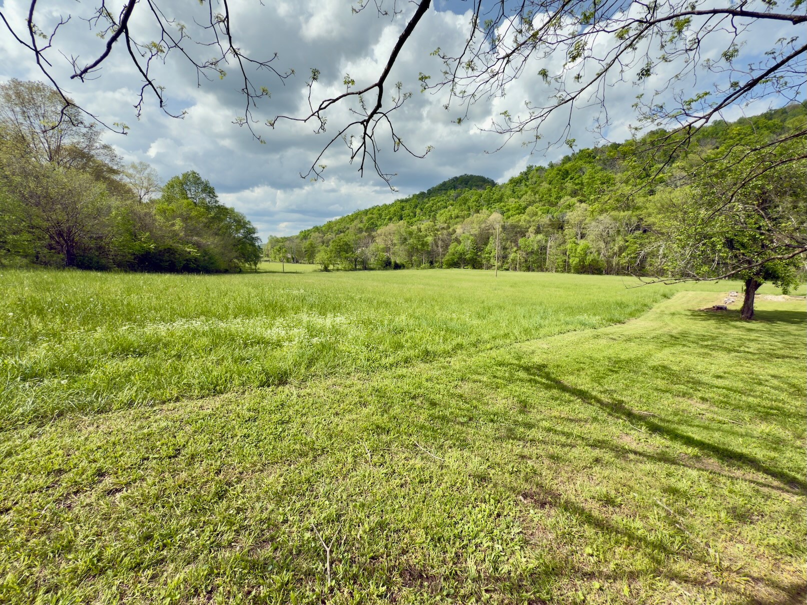 1634 Gilley Hill Rd Property Photo 32