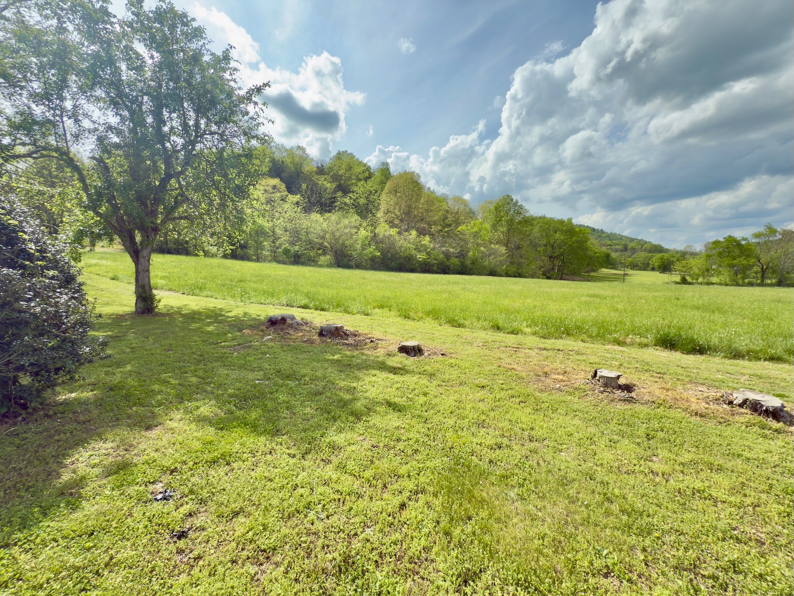 1634 Gilley Hill Rd Property Photo 36