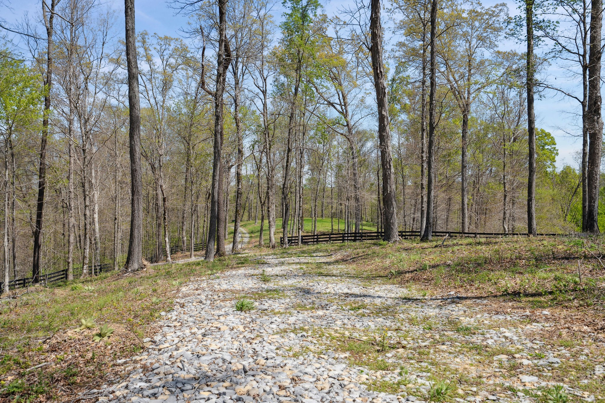 6017 Russell Ridge Ln Property Photo 7