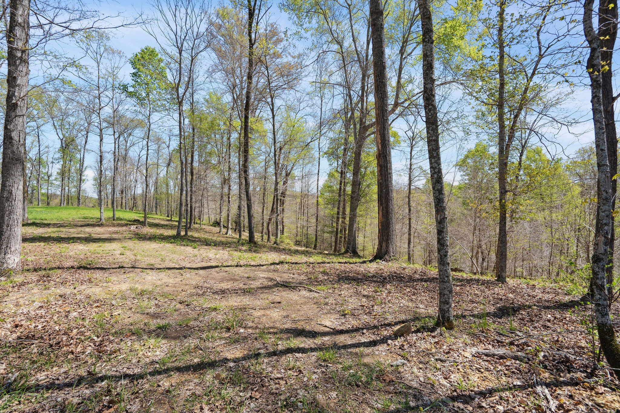 6017 Russell Ridge Ln Property Photo 9