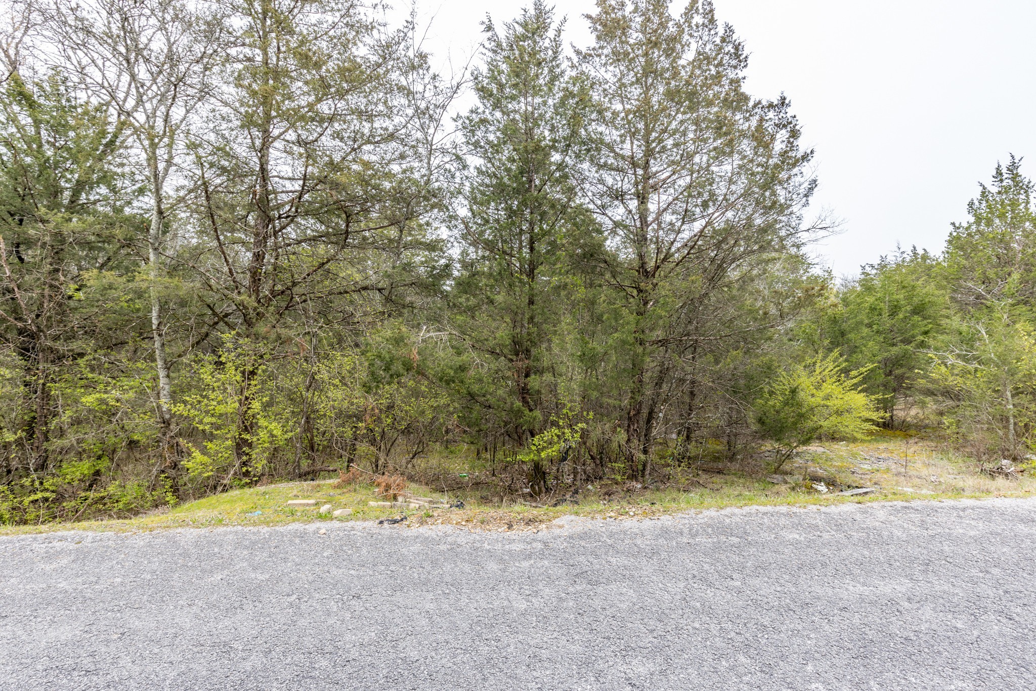 0 Owl Hollow Rd Property Photo 31
