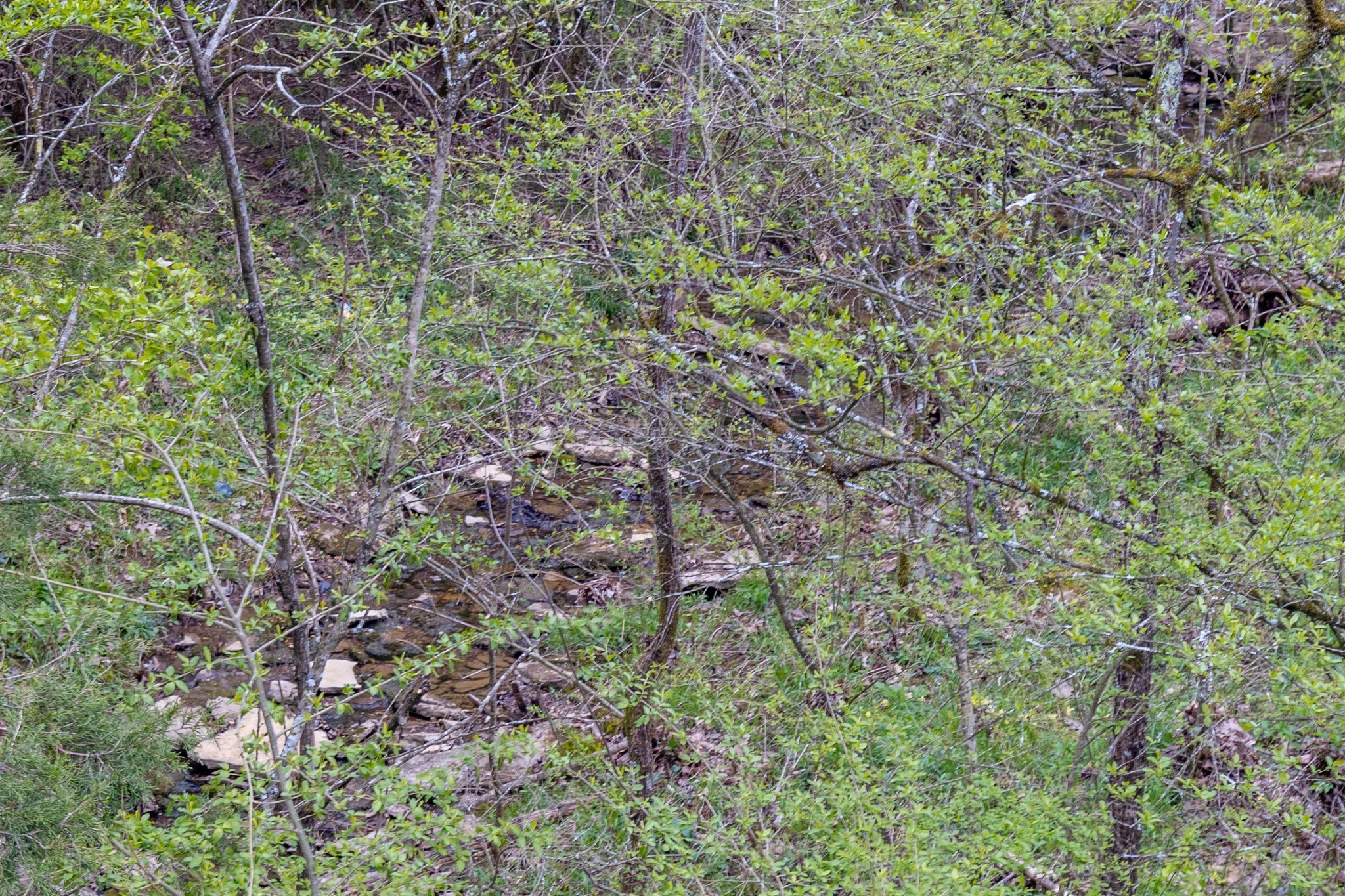 0 Owl Hollow Rd Property Photo 33