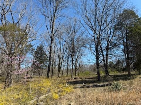 4145 Hwy 70, E Property Photo 10