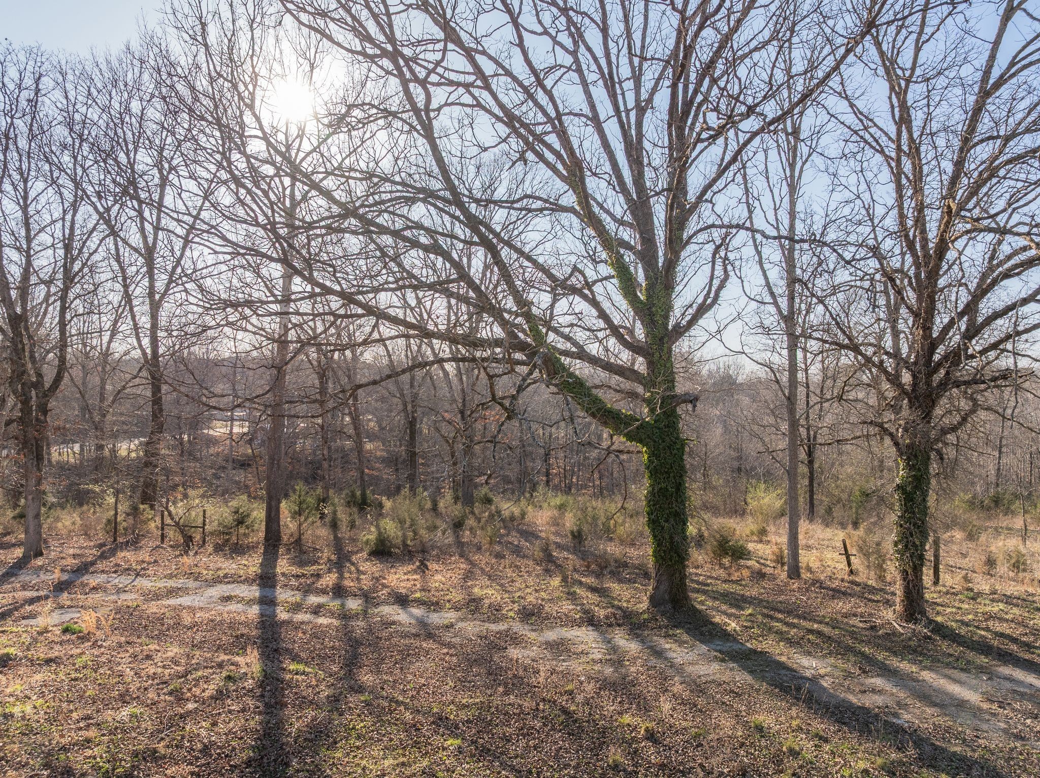 4145 Hwy 70, E Property Photo 23