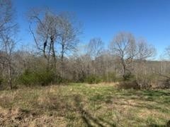 4145 Hwy 70, E Property Photo 38