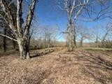 4145 Hwy 70, E Property Photo 46