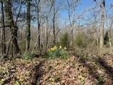 4145 Hwy 70, E Property Photo 52