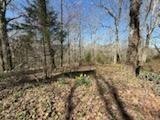 4145 Hwy 70, E Property Photo 53